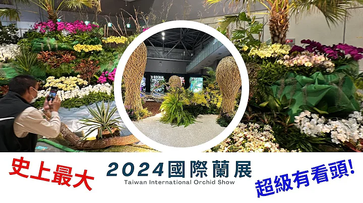 2024台灣世界蘭展  史上最大? 花的種類最多?  旁邊就是高鐵燈區 人潮史上最多 - 天天要聞