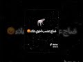 شعوري و خربنا اغنية اجنبيه هههه باميه بايته اكله عراقية شعوري و خربنا اغنية اجنبيه هههه باميه بايته اكله عراقية