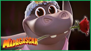 A Rainha do Balé | DreamWorks Madagascar em Português