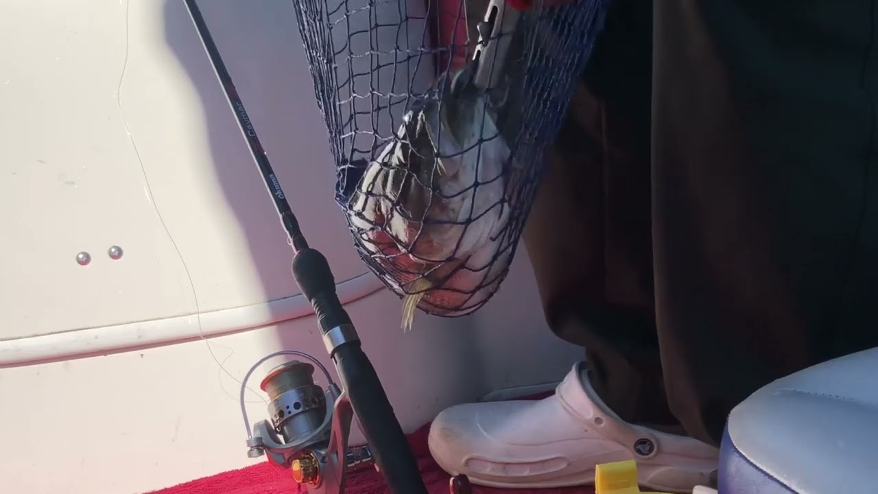 Iu-Mienh YP Channel # 53 Spotted Bass Fishing