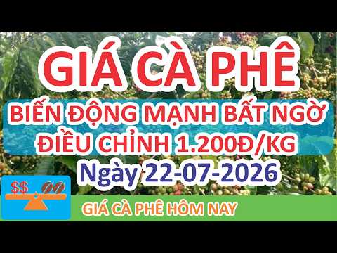 Giá cà phê hôm nay ngày 22/07/2026 | Giá Cà Phê Biến Động Mạnh Bất Ngờ