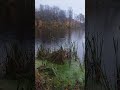 Опять дождь на рыбалке.