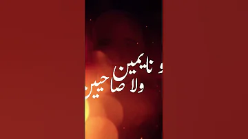 عبد الواحد ديبان اغاني مغربية اكسبلور طرب تيك توك اغاني طوندونس جديد ترند لايك رشيد شو 