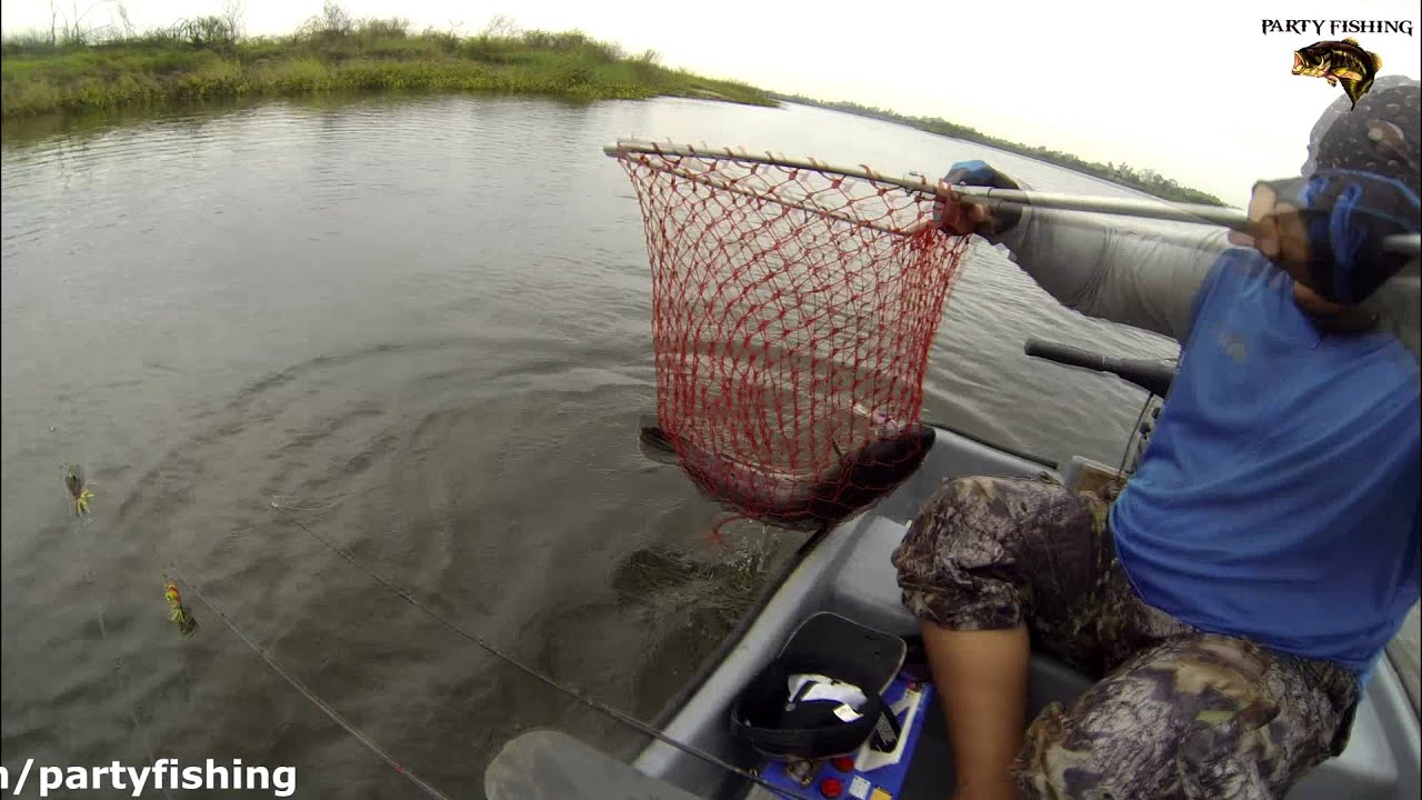 DEEPSIX BY PARTYFISHING(HD)