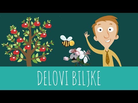 Video: Šta je vrh izdanka biljke?