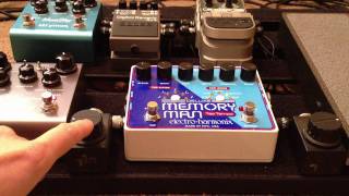 Using Mini-Expression Knobs with Delay Pedals (El Capistan and DMM)