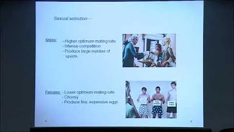 Avani Mital @InSearch 2018 JNCASR