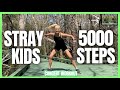 Straykids 5000 steps concert workout  burn over 500 calories  highlow impact shown