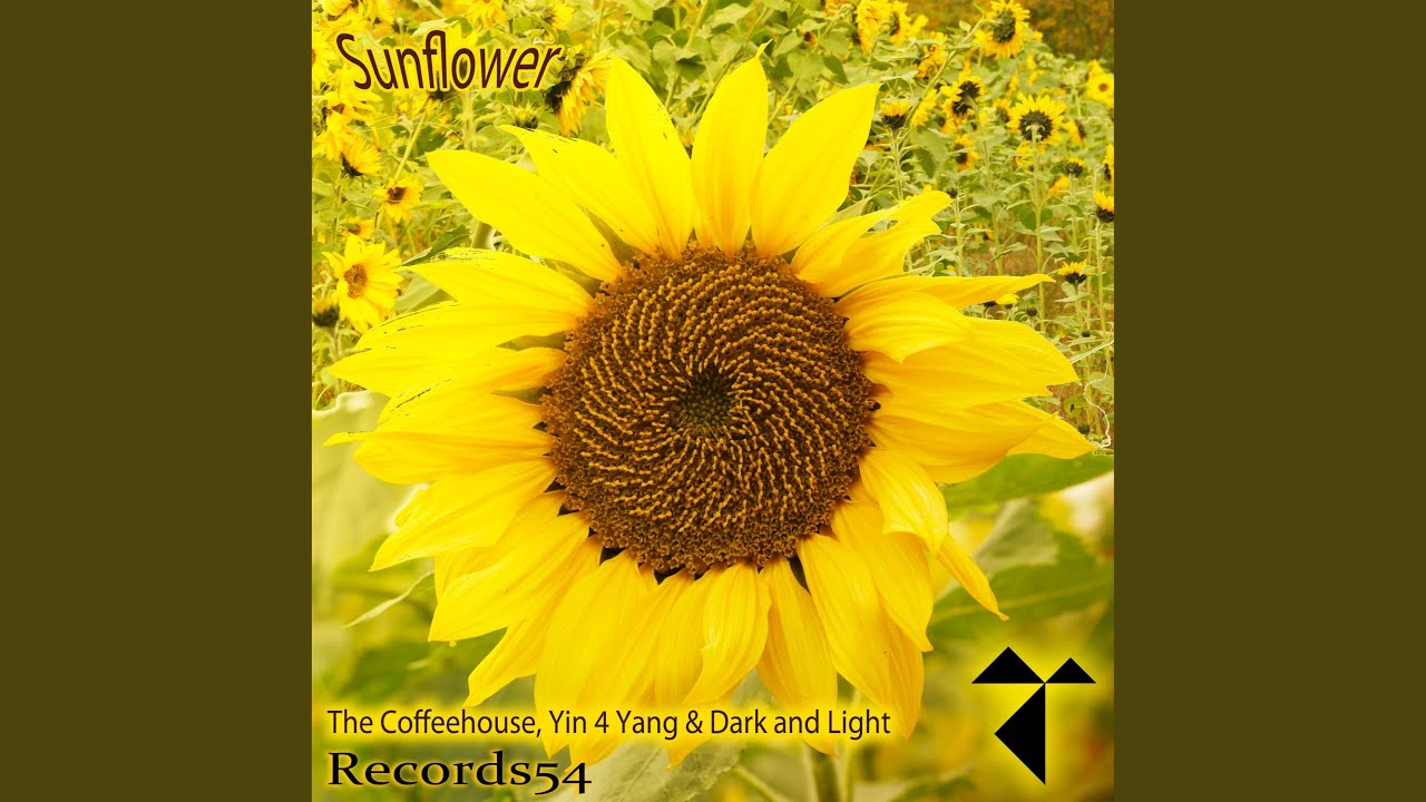 Watch Sunflower on YouTube Watch Sunflower on YouTube