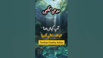 Sindhi Language Easy Sindhi Learning Sindhi Sikhe Indiansindhi Sindhilanguage Sindhiboli 