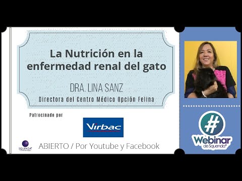 La Nutrición En La Enfermedad Renal Del Gato - Dra. Lina Sanz