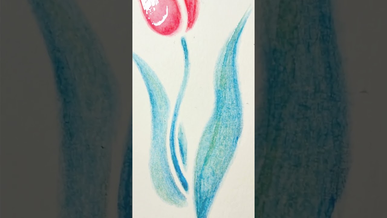 DRAWY360-【第1回】描いてから、水で変わる。水彩色鉛筆という選択