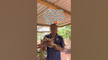 Please don’t scroll without helping the link in bio #catvideos #catfood #petfood #support