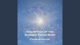 Assumption of the Blessed Virgin Mary