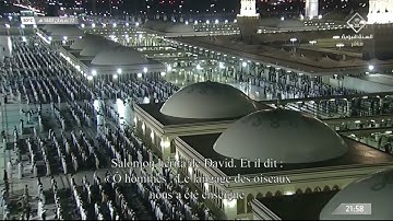 تلاوة مميزة لسورتي الشعراء 208 - النمل 58 | تراويح ليلة 23 رمضان 1443 | للشيخ د. عبدالمحسن القاسم