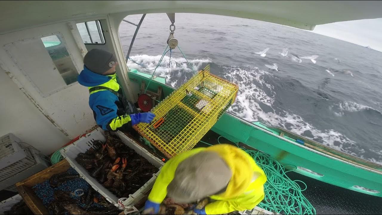 Lobstering off SouthWest Nova Scotia in District 34 YouTube