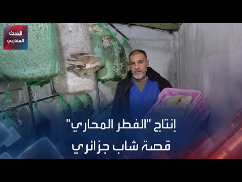 إنتاج الفطر المحاري قصة شاب جزائري