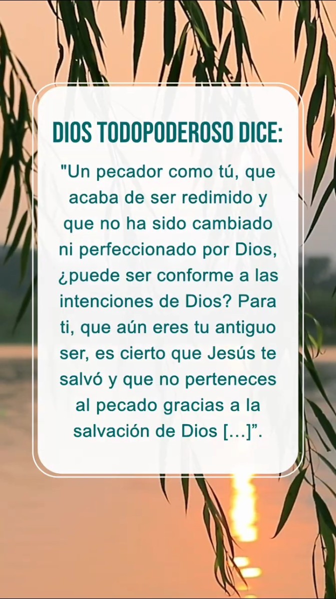 Sosiégate ante Dios y lee Sus palabras para acercarte a Él
