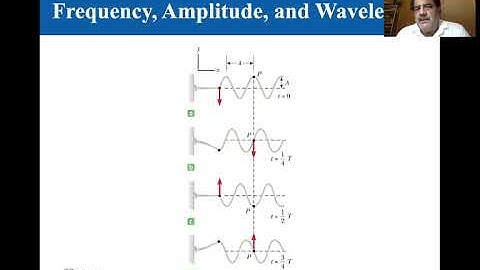College Physics Lectures, Frequency, Amplitude, and Wavelength