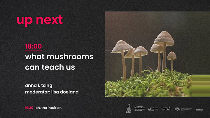 Anna L. Tsing - What We Can Learn From a Mushroom