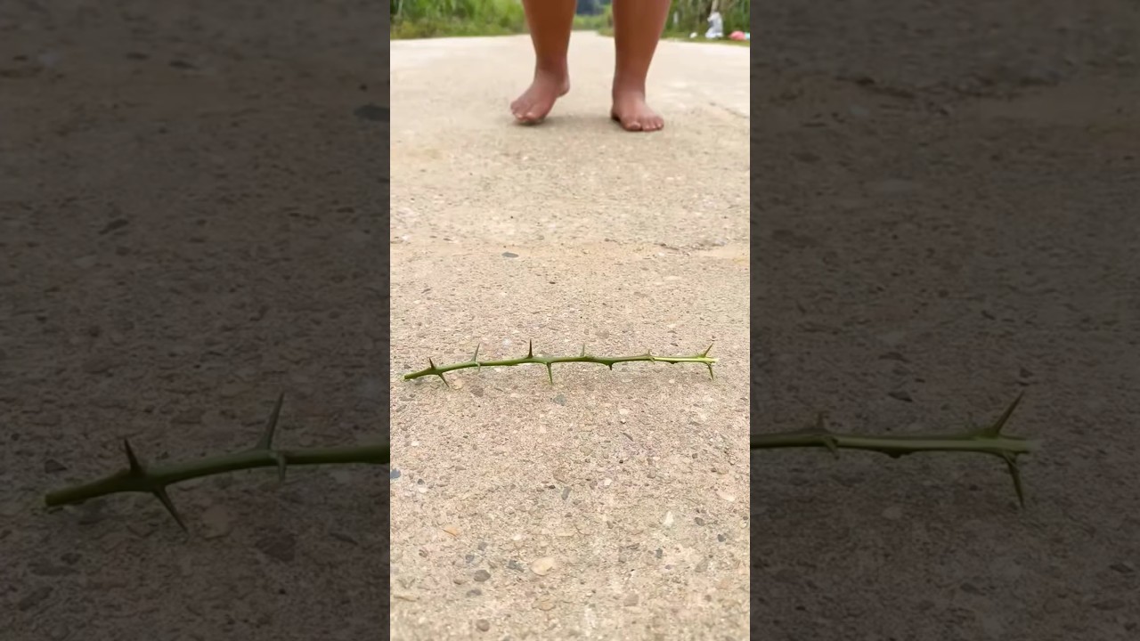 A Homeless Father and Son❤️