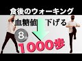 【1000歩】まずはこれ!8分で体が温まる初心者ウォーク|マンションOK