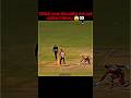 Top best run out cricket history 🤬😱 #cricketshots #topbest #cricket #viral #trending