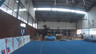 Sampler 2015 - so close - Dennis Franco