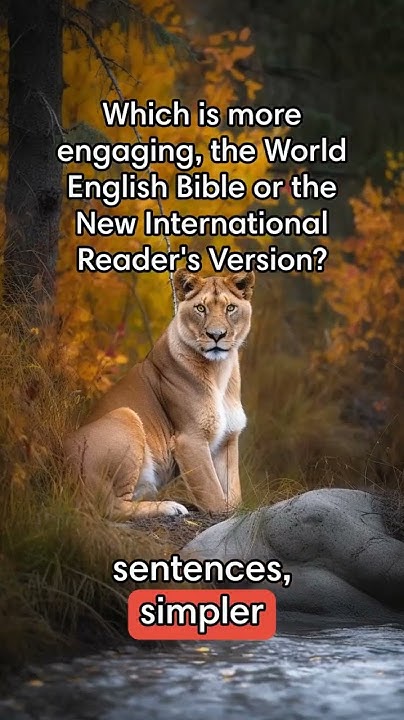 which-is-more-engaging-the-world-english-bible-or-the-new