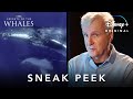 James Cameron Sneak Peak