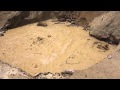 Boiling Mud Pool In Lassen National Park