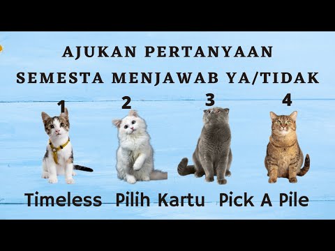 Video: Bisakah Anda mengajukan pertanyaan pada kartu tarot ya atau tidak?