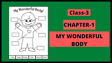 EVS || Chapter- 1 || Class - 3rd || My wonderful body