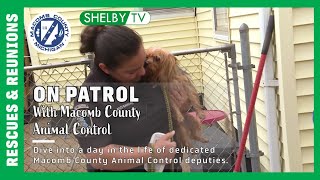🐶On Patrol with Macomb County Animal Control: A day in the life of Animal Control deputies Aug 2023🐾