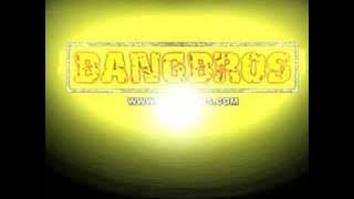 Bang Bros