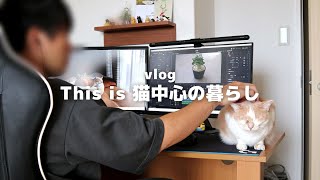 これが猫がいる暮らしです。猫と暮らす会社員の平凡な休日ルーティン  / vlog / routine with cat