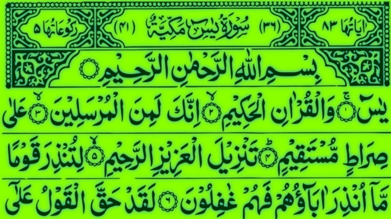 Surah Yaseen 3 Times Recitation | Episode 168 | Beautiful Quran Tilawat | Heart Touching Voice