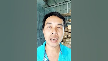 Bài mồi bẫy chuột đồng hiệu quả đơn giản