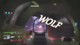 introducing: ADEPT WOLF