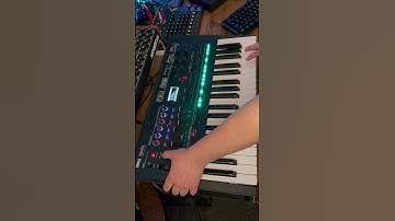 korg opsix sequential prophet rev2 and koala sampler eat something