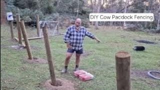 DIY cow paddock fencing