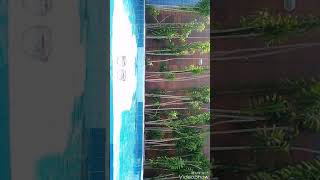 Top 7 Fotos Tumblr Favoritas Na Piscina