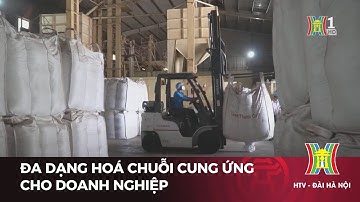 Đa dạng hoá chuỗi cung ứng cho doanh nghiệp | Tin tức