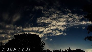 Technician-Random-Intro (Artist