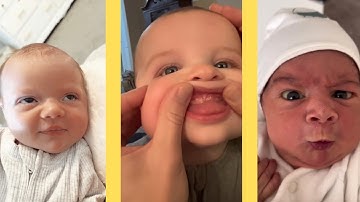 Ranking Baby Attitudes - Funny Baby Video