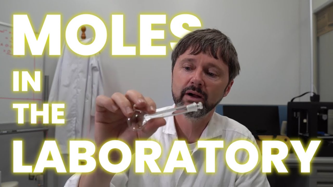 Moles in the laboratory - YouTube