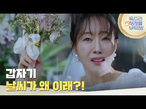 ＂결혼식 도중 비가 내려 대피하는 하객들 [For <strong>Eagle</strong> Brothers] | KBS 250201 방송