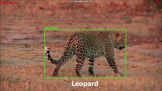 Consolidation of Detected Videos Ver 1 0
