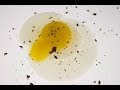 Molecular Gastronomy - Molecular Egg Recipe