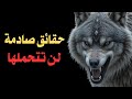 ٩ حقائق صادمة لن يخبرك بها أحد لكنها ستوقظ الوحش داخلك تأملات الذئب